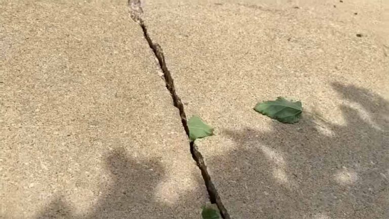 How Do You Repair a Severely Cracked Driveway?